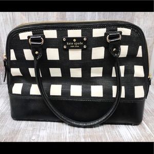 Kate Spade Wellesley Rachelle Pop Art bag